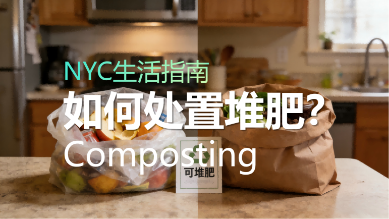 NYC生活指南|如何处置堆肥（Composting）