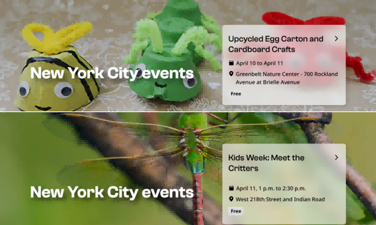 活动>>春日童趣，纽约4月亲子活动精彩来袭